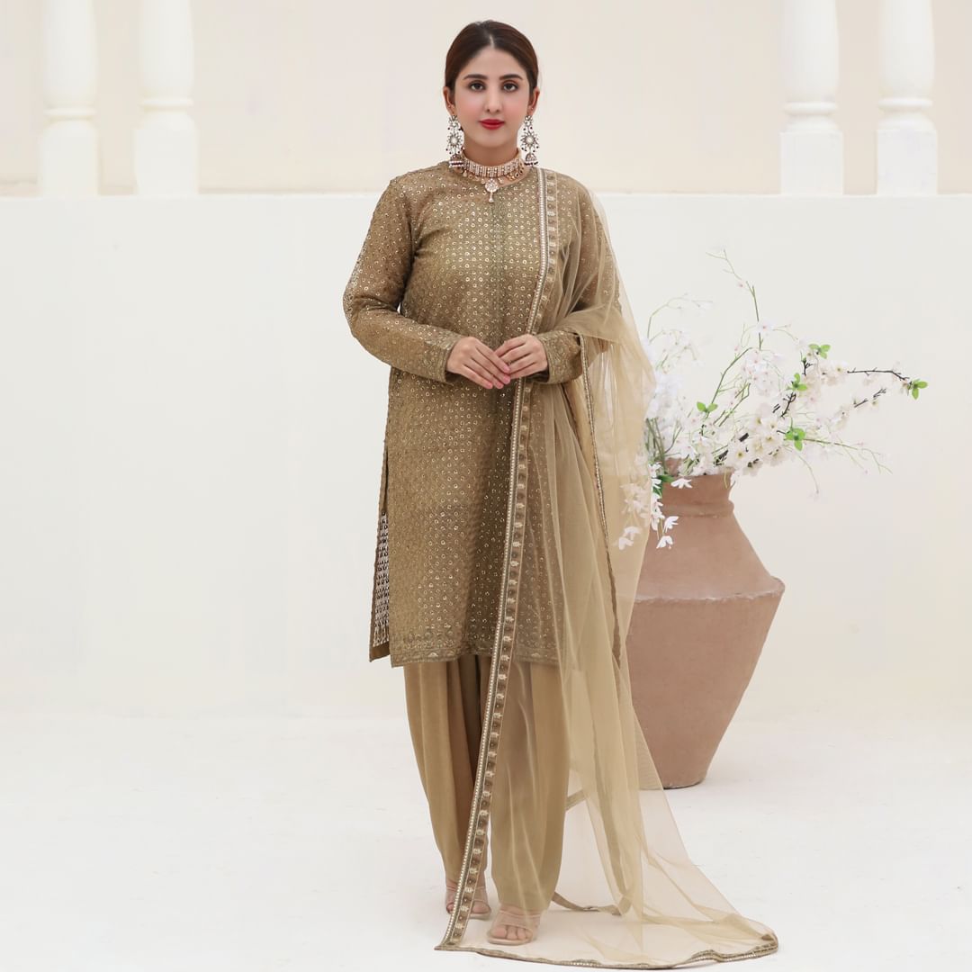 Henna Organza Embroidered Suit - 3PC